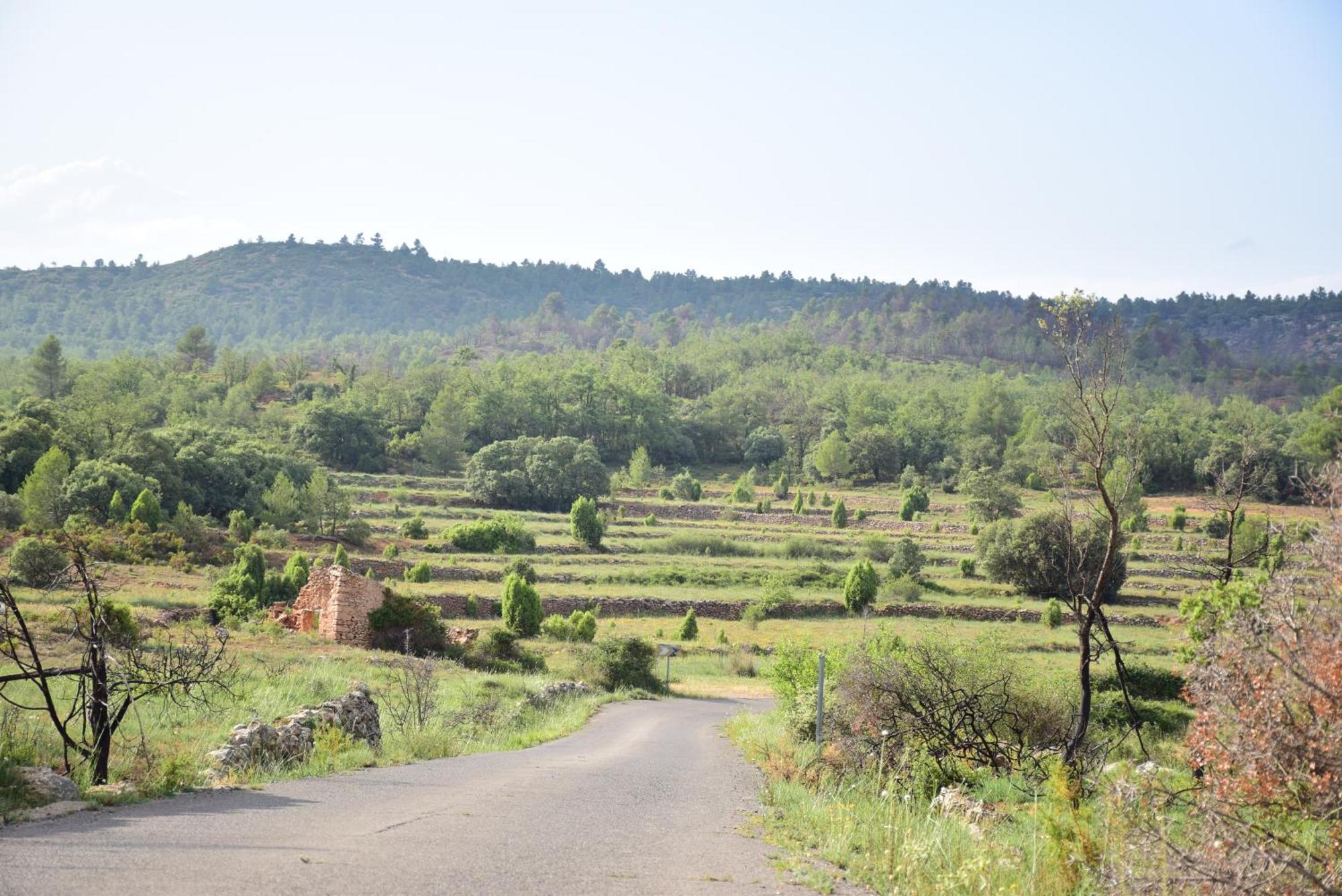 Oasis Rural Villa Los Pastores Exterior photo